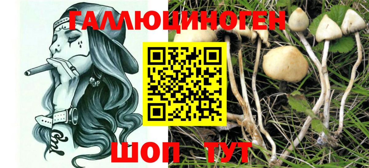 Псилоцибиновые грибы ЛСД Красноярск