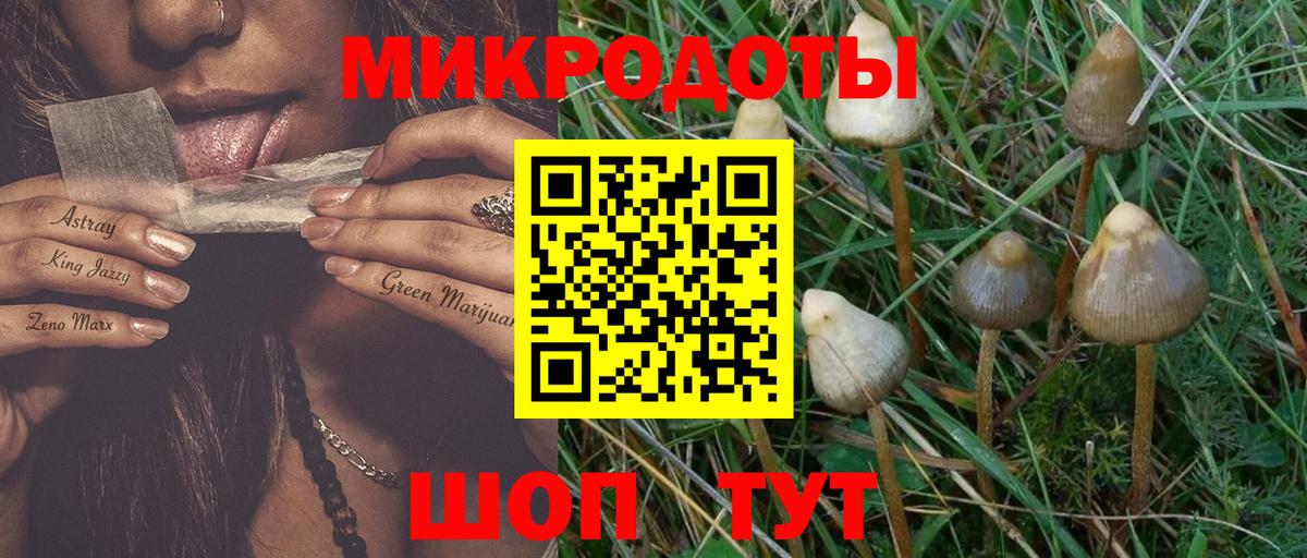 Галлюциногенные грибы Magic Shrooms  Псилоцибиновые грибы MAGIC MUSHROOMS  Вход с VPN  Красноярск 